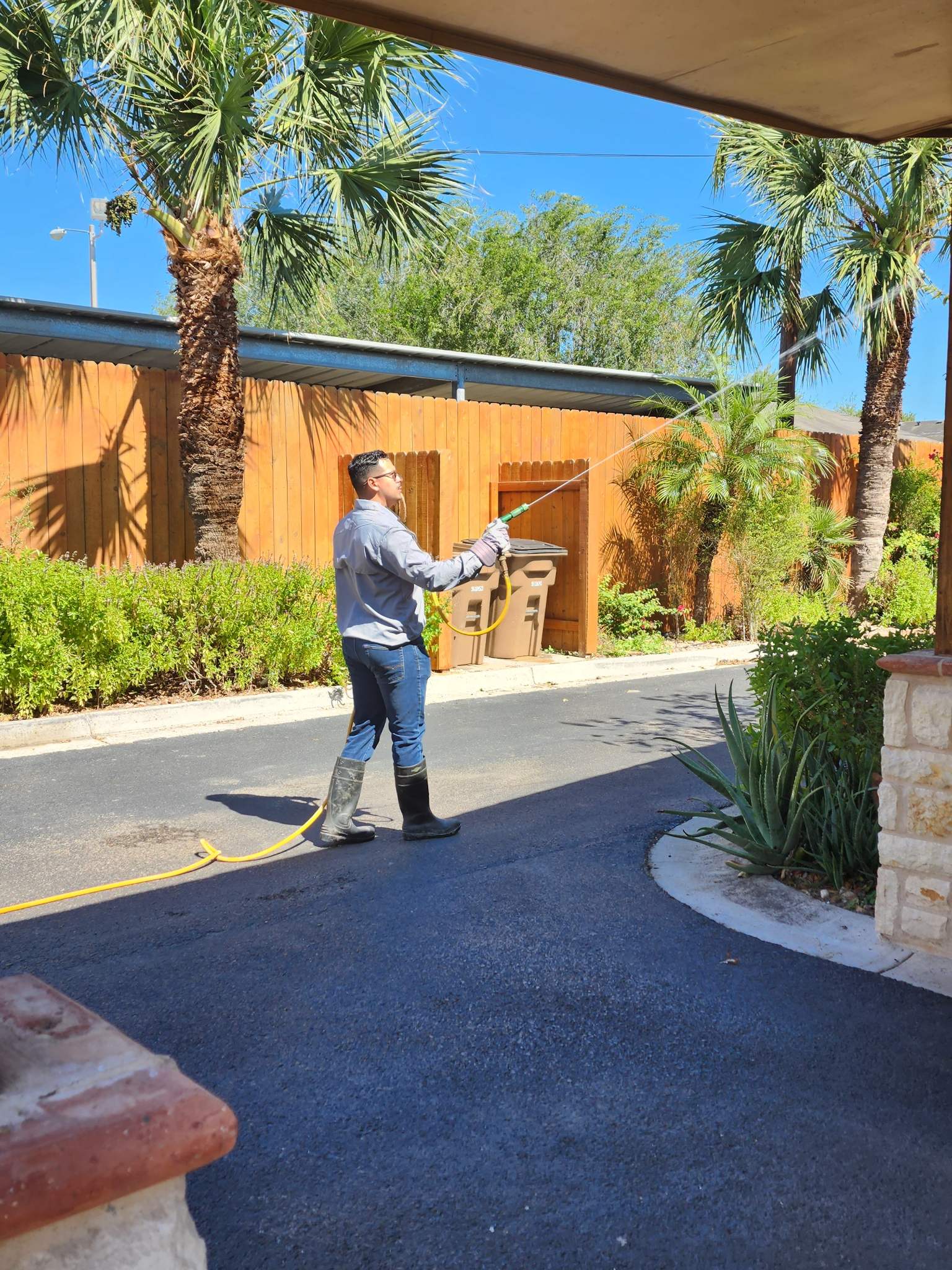 edinburg tx home pest services